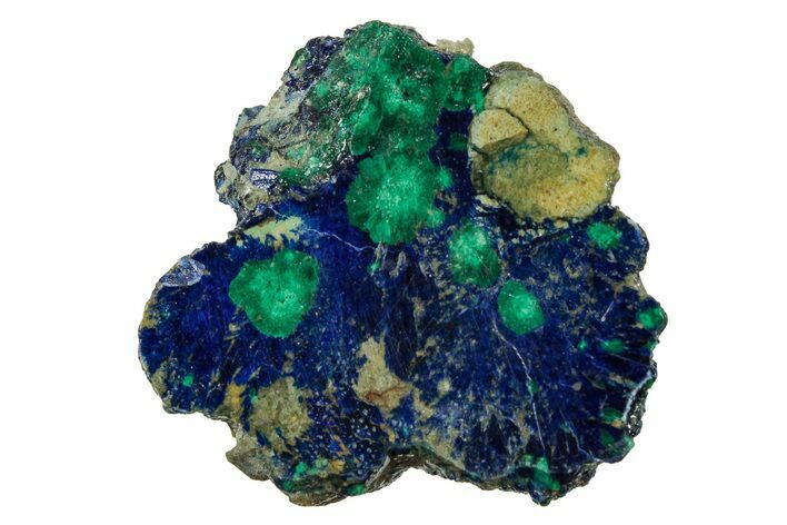 Vivid Blue, Cut/Polished Azurite & Malachite Nodule - Siberia #335257